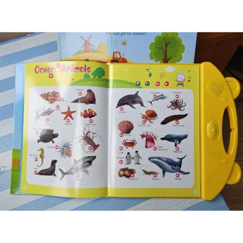 كتاب اللغة الإنجليزية الناطق 26 صفحة